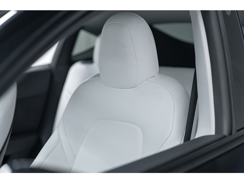 2022 Tesla Y Performance Main Image